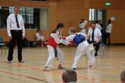 K1600IMG6168